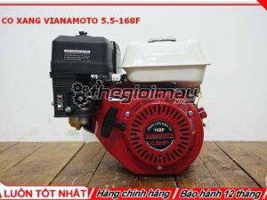 Động cơ xăng Vinamoto 5.5 168F