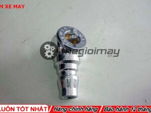 Đầu bơm xe máy