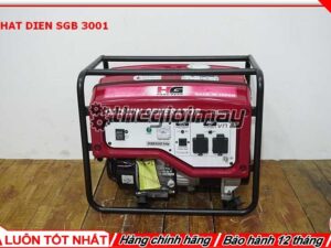 Máy phát điện SGB 3001