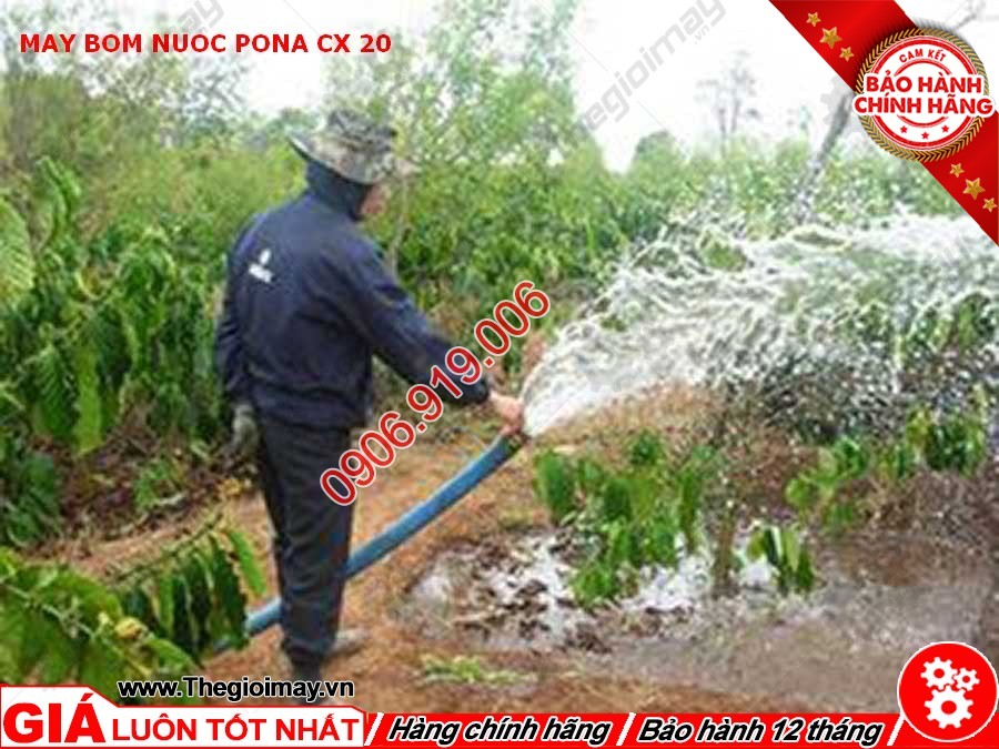 Ứng dụng máy bơm nước PONA CX 20
