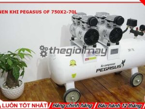 Pegasus TM-OF750x2 sản sinh ra lượng khí cực nhanh đạt 290 lít/phút giúp hoàn thành công việc nhanh chóng và hiệu quả