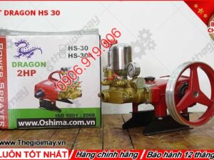 Đầu xịt Dragon HS30