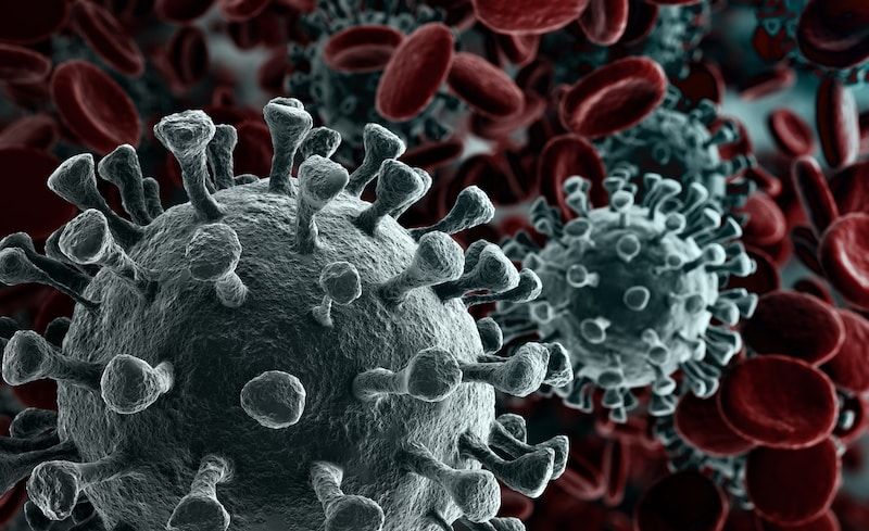 Virus nCOV-2019 gây ra sự hoang mang cho người dân đầu năm 2020