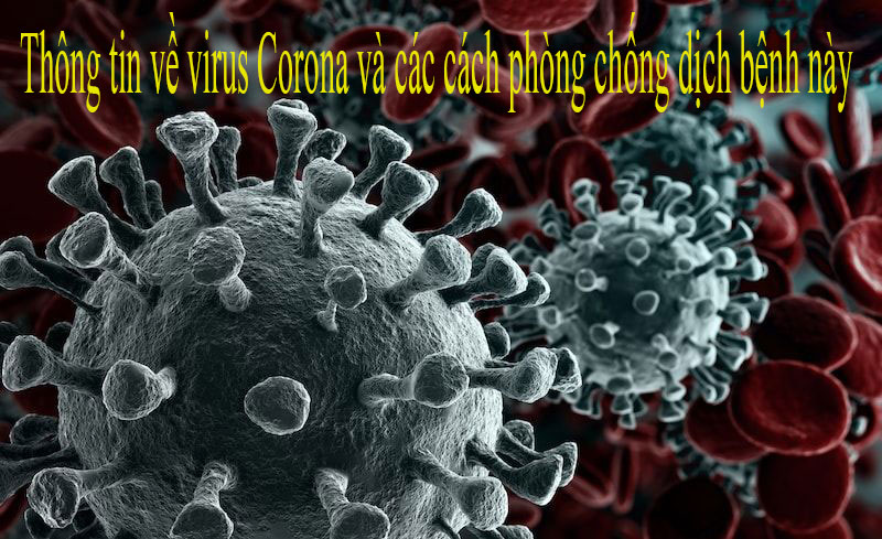 Thông tin về virus corona và các cách phòng chống dịch bện này