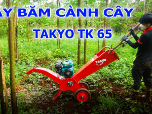 Máy băm cành cây Takyo TK 65