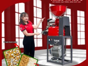 Giới thiệu máy xát gạo gia đình TAKYO TK 190 C