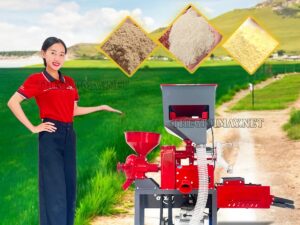 Máy xát gạo gia đình Takyo TK 220 RP